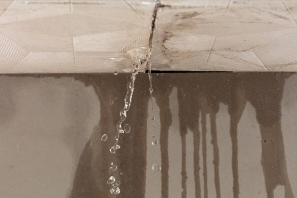 Professional Water Damage Repair technician working in New Marshfield, OH